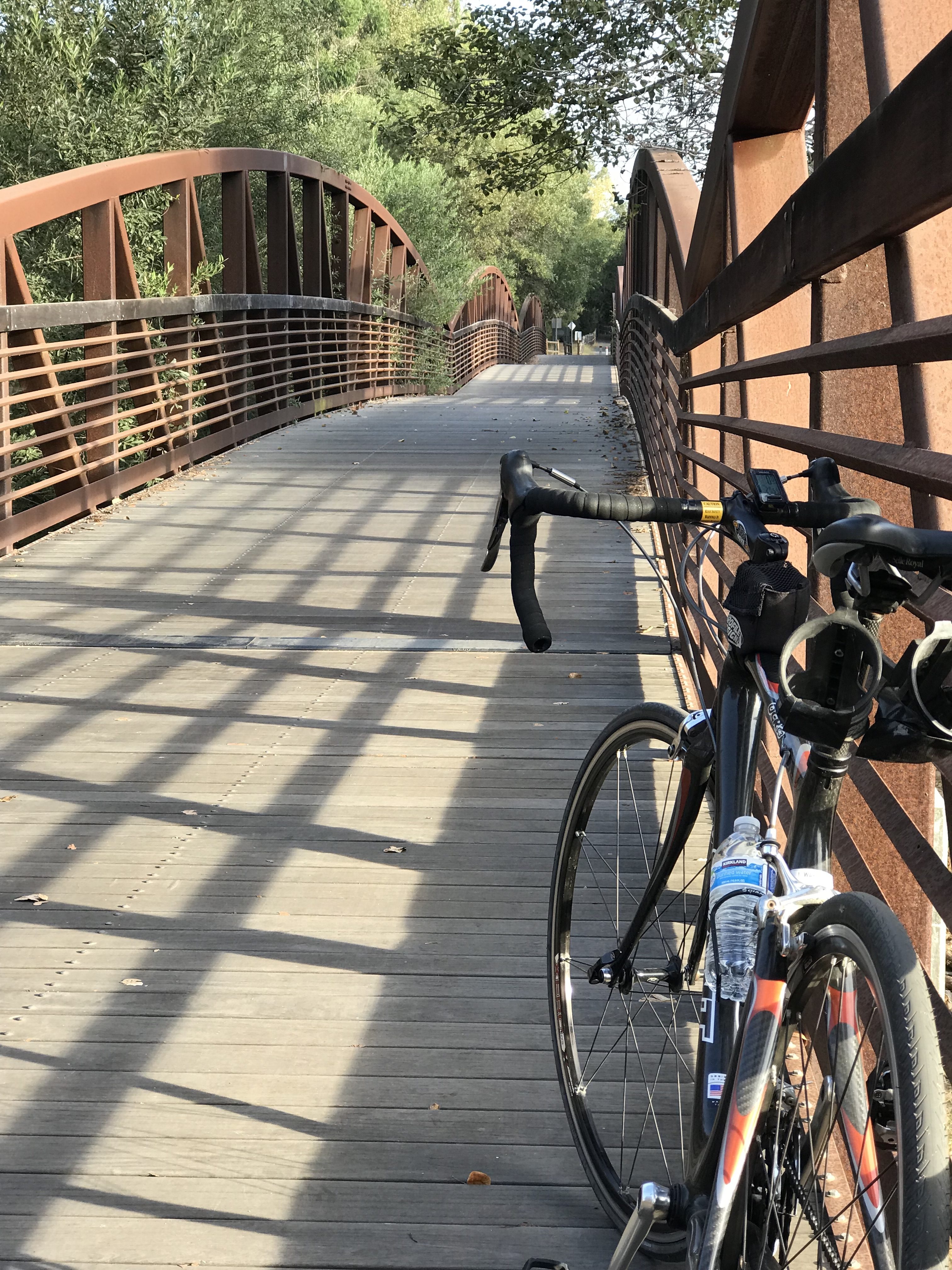 the integrative woman bike on bridge